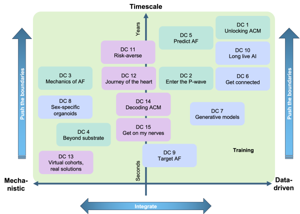 Doctoral candidate projects