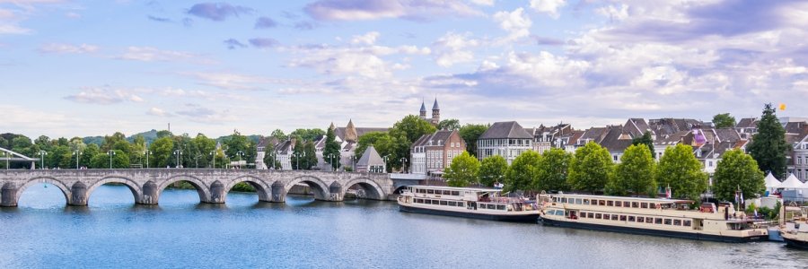 First Consortium Meeting in Maastricht